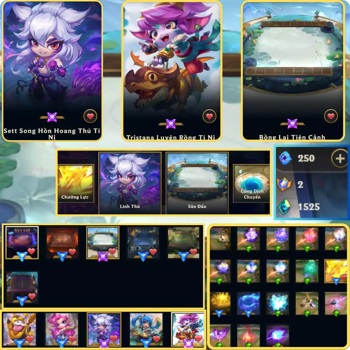 SET + TRIS + BỒNG LAI TIÊN CẢNH + CHƯỞNG